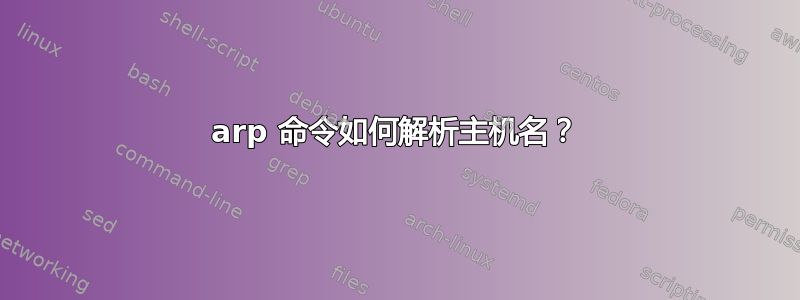 arp 命令如何解析主机名？