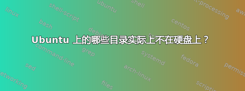 Ubuntu 上的哪些目录实际上不在硬盘上？