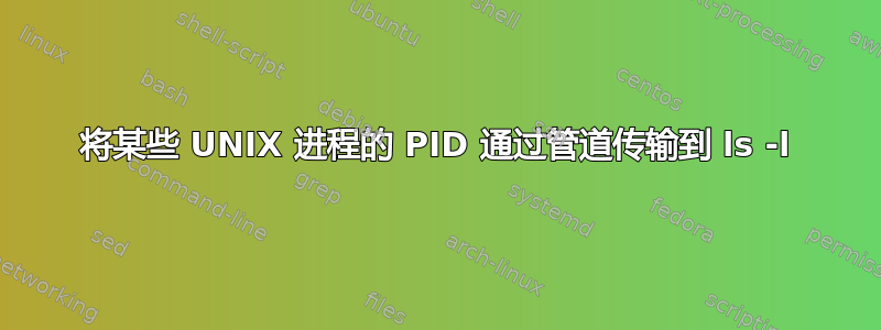 将某些 UNIX 进程的 PID 通过管道传输到 ls -l