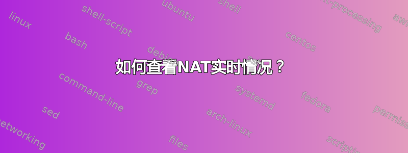 如何查看NAT实时情况？