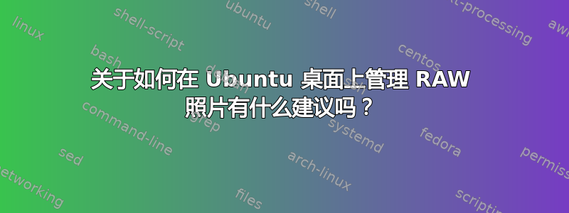 关于如何在 Ubuntu 桌面上管理 RAW 照片有什么建议吗？