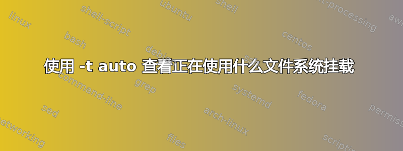 使用 -t auto 查看正在使用什么文件系统挂载