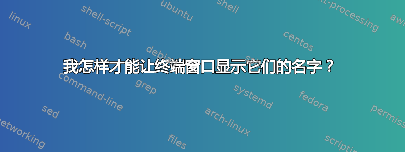 我怎样才能让终端窗口显示它们的名字？