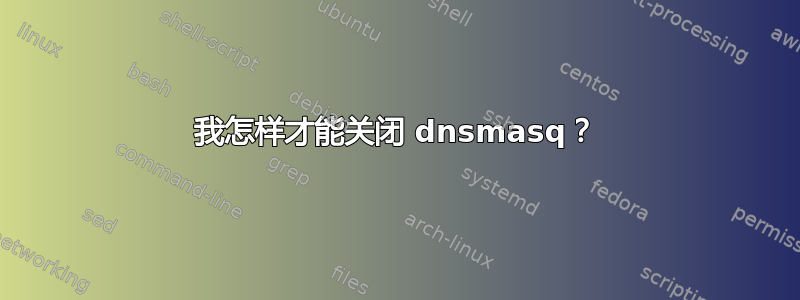 我怎样才能关闭 dnsmasq？