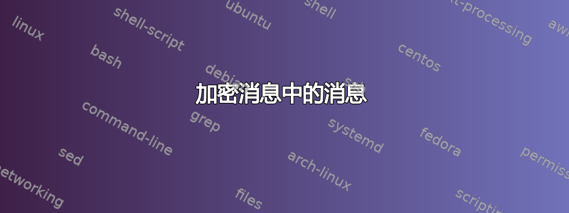 加密消息中的消息