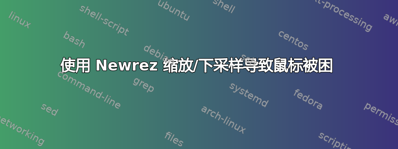 使用 Newrez 缩放/下采样导致鼠标被困