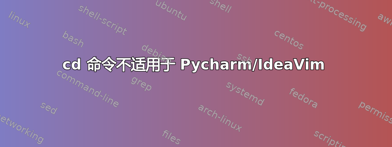 cd 命令不适用于 Pycharm/IdeaVim