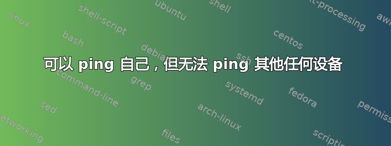 可以 ping 自己，但无法 ping 其他任何设备