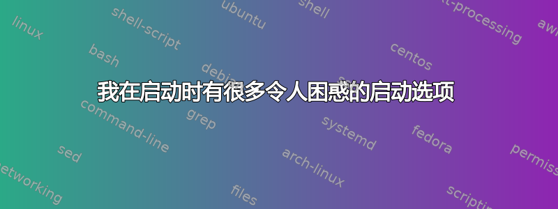 我在启动时有很多令人困惑的启动选项