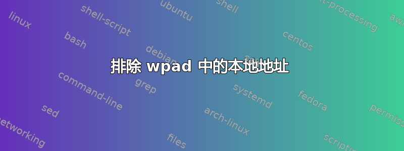 排除 wpad 中的本地地址