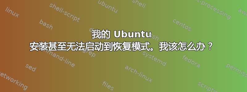 我的 Ubuntu 安装甚至无法启动到恢复模式。我该怎么办？