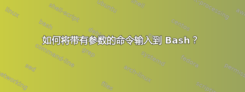 如何将带有参数的命令输入到 Bash？