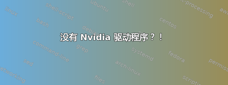 没有 Nvidia 驱动程序？！