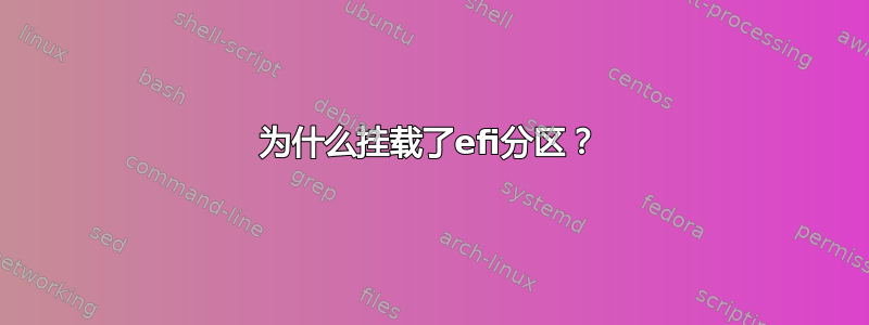 为什么挂载了efi分区？