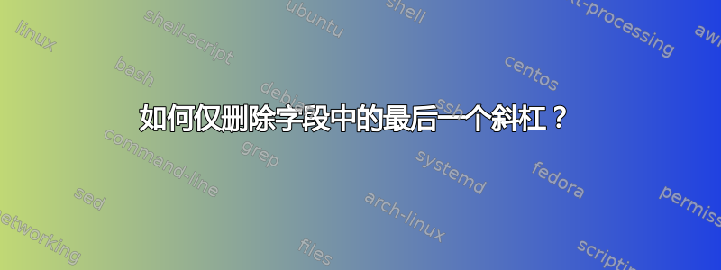 如何仅删除字段中的最后一个斜杠？