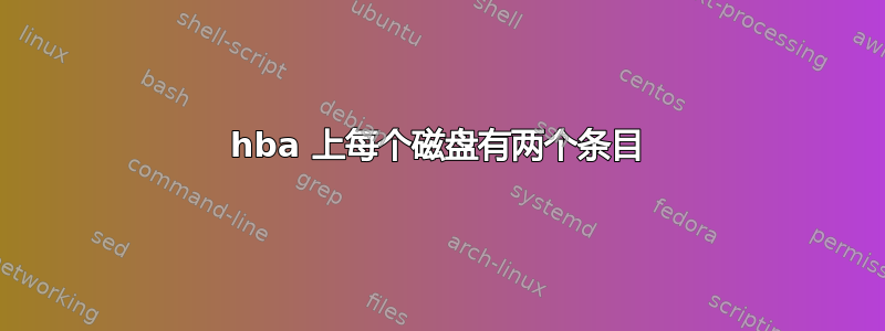 hba 上每个磁盘有两个条目