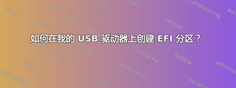 如何在我的 USB 驱动器上创建 EFI 分区？