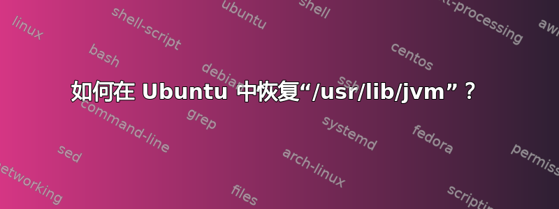 如何在 Ubuntu 中恢复“/usr/lib/jvm”？