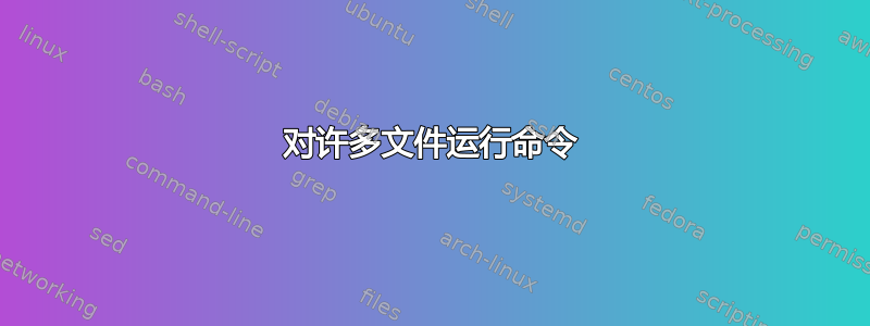 对许多文件运行命令