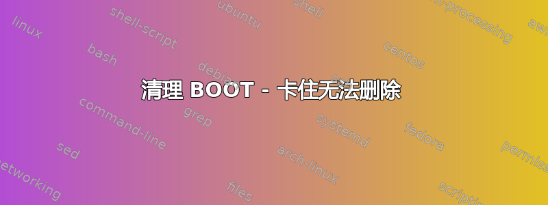 清理 BOOT - 卡住无法删除