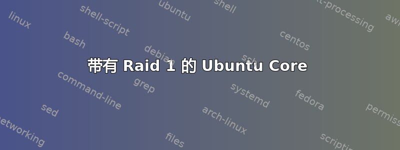 带有 Raid 1 的 Ubuntu Core