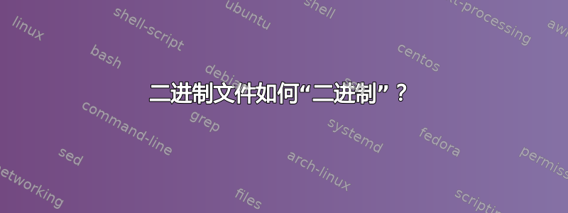 二进制文件如何“二进制”？