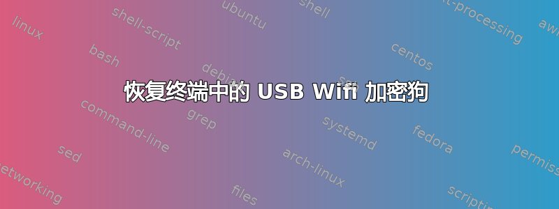 恢复终端中的 USB Wifi 加密狗