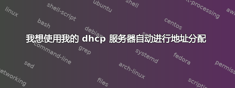 我想使用我的 dhcp 服务器自动进行地址分配