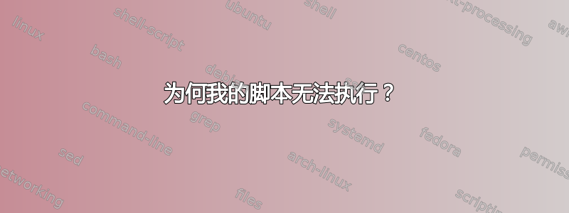 为何我的脚本无法执行？