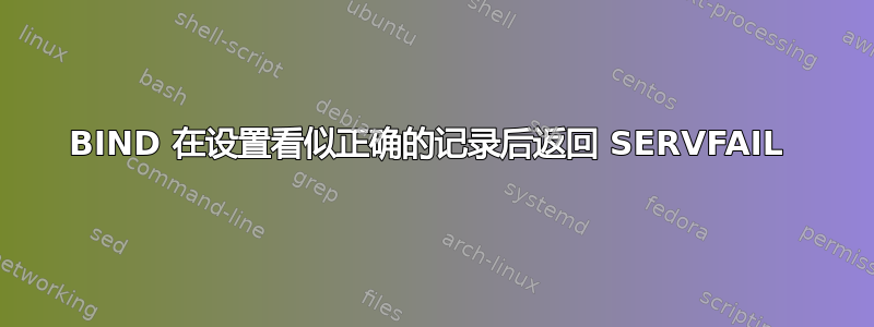 BIND 在设置看似正确的记录后返回 SERVFAIL 