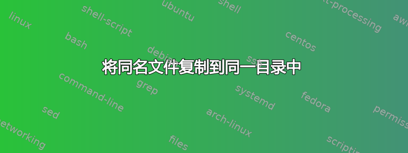 将同名文件复制到同一目录中