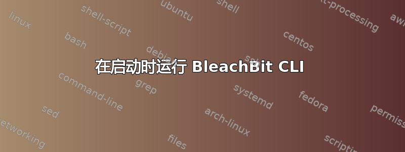 在启动时运行 BleachBit CLI