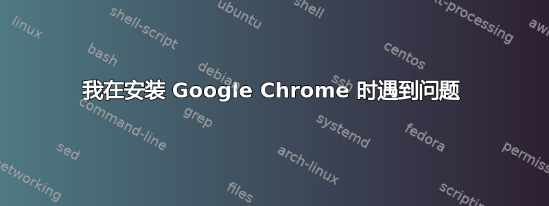 我在安装 Google Chrome 时遇到问题