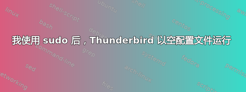 我使用 sudo 后，Thunderbird 以空配置文件运行