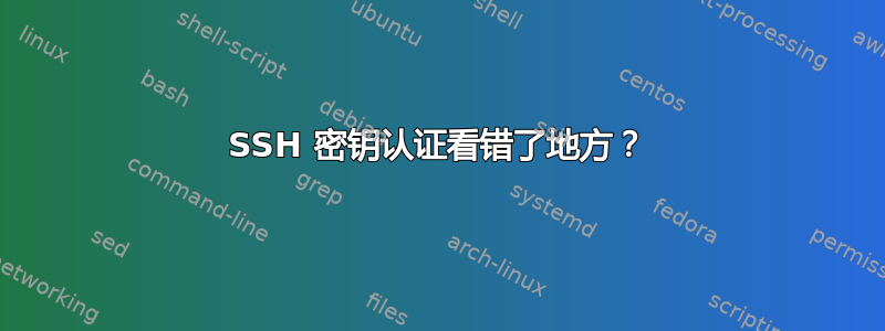 SSH 密钥认证看错了地方？