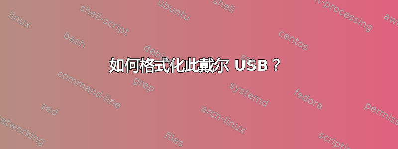 如何格式化此戴尔 USB？