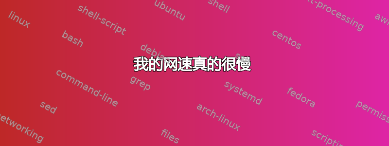 我的网速真的很慢