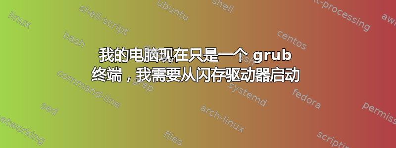 我的电脑现在只是一个 grub 终端，我需要从闪存驱动器启动