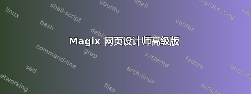 Magix 网页设计师高级版