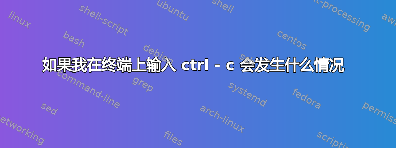 如果我在终端上输入 ctrl - c 会发生什么情况 