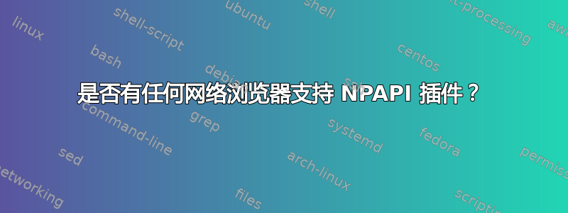 是否有任何网络浏览器支持 NPAPI 插件？