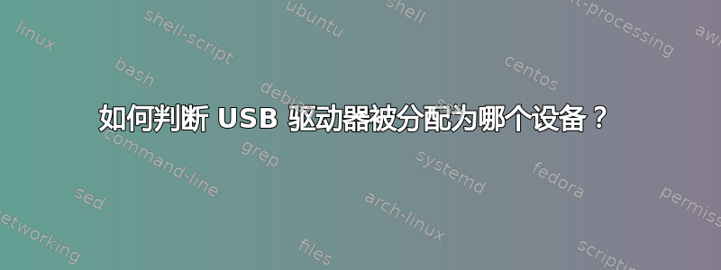 如何判断 USB 驱动器被分配为哪个设备？