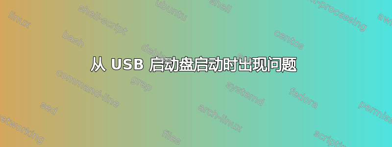 从 USB 启动盘启动时出现问题