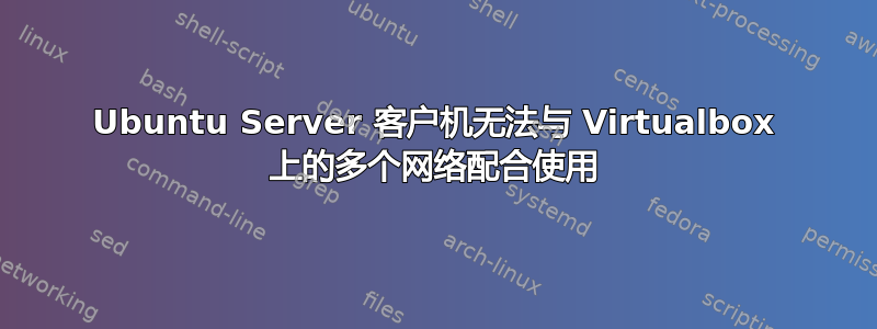 Ubuntu Server 客户机无法与 Virtualbox 上的多个网络配合使用