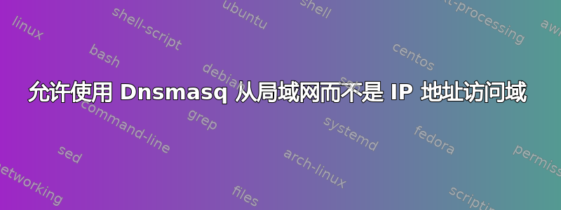 允许使用 Dnsmasq 从局域网而不是 IP 地址访问域