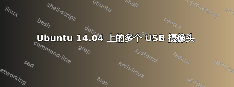 Ubuntu 14.04 上的多个 USB 摄像头