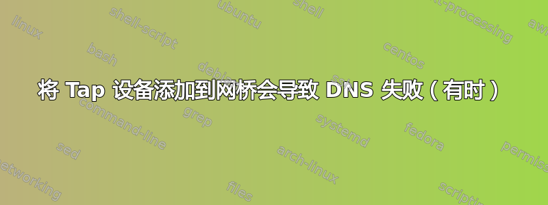 将 Tap 设备添加到网桥会导致 DNS 失败（有时）