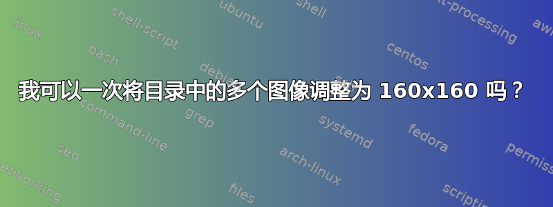 我可以一次将目录中的多个图像调整为 160x160 吗？