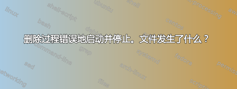 删除过程错误地启动并停止。文件发生了什么？