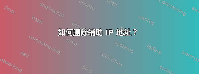 如何删除辅助 IP 地址？